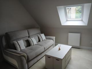Bed and breakfast studio - Lanvallay - 0