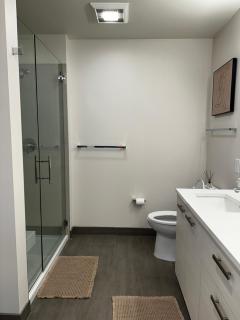 Modern 2 Bedroom with City and Water Views - Seattle - 5