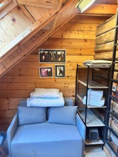 Ranczo Palomino -  - 1