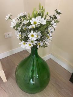 Agapanthus - Offida - 5