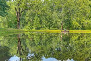 20-Acre Cabin with Pond 5 Mi to Biltmore Estate! - 9