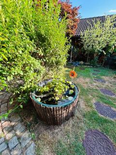 Haus Sonnenblume - Pretzfeld - 1