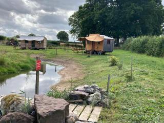Tick Bridge cabin - Lyonshall - 4