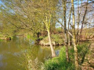 Holiday Home in Spreewald near Spreewaldtherme - Schmogrow - 7