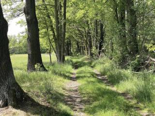 Holiday Home in Spreewald near Spreewaldtherme - Schmogrow - 6