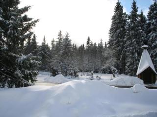 Holiday Home Elend near Wurmberg Ski Area, cleaning included - Elend - 6
