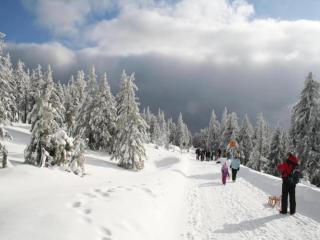 Holiday Home Elend near Wurmberg Ski Area, cleaning included - Elend - 5