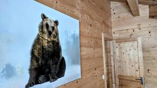 Chalet Cosy avec vue imprenable sur le lac - 1
