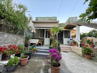 Victor House - 3