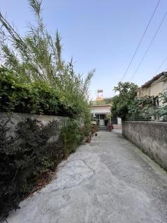 Victor House - Vlora - 8
