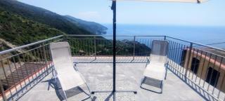 Rosmarino, Cinque Terre - 3