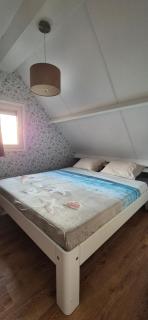 Alpaca World Friesland - Workum - 7