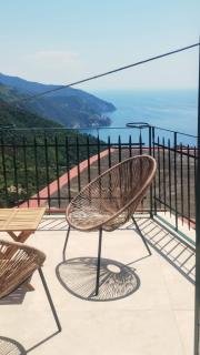 Salvia, Cinque Terre - 0