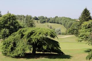Le Green de Bellême - 3
