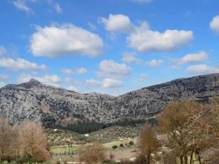 Villa in Andalusia with Pool and Mountain Views - Alfarnatejo - 1