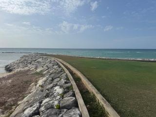 Marriott SeaCastles B30 Rooftop Penthouse - Montego Bay - 8
