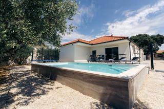 Martha's Oliveyard - 0