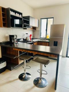 Hermoso Departamento nuevo en Villa de Pozos - San Luis Potosí - 6