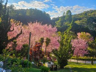 Pousada Vinhas do Pinhal - 6