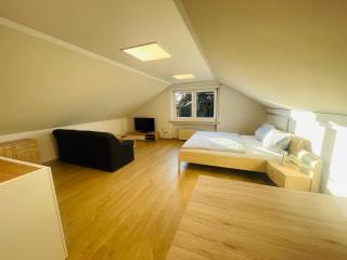 Klimatisierte Ferienwohnung in Seenähe - Zülpich - 0