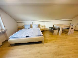 Klimatisierte Ferienwohnung in Seenähe - Zülpich - 1
