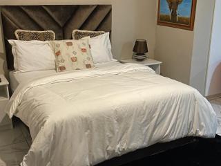 Platinum room - Johannesburg - 8