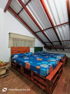 Habitación privada natural - Cali - 3