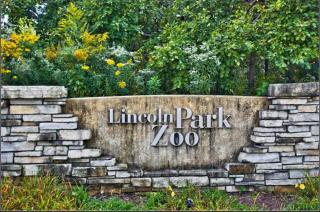 East Lincoln Park Gem Spacious 4 BR - 9