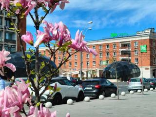 ibis Styles Dunarea Galati - Galaţi - 4