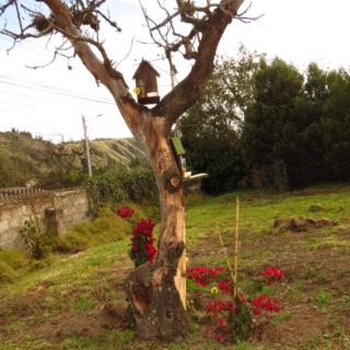Serravalle - 2