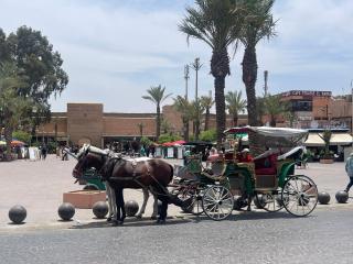 Riad Maaffar - Marrakesh - 6