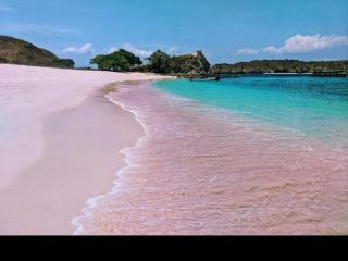Rusde's Komodo Homestay - - 8