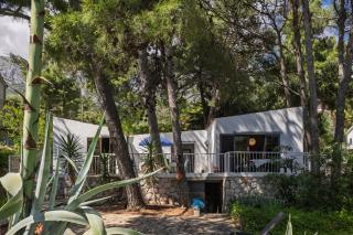 Seaside house for families with children Ivan Dolac, Hvar - 140 - Ivan Dolac - 9