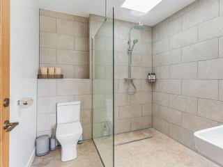 Swallow - Uk50155 - Faversham - 7