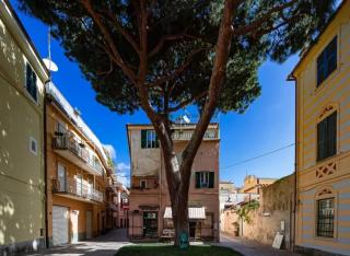 Casa del Pino - Spotorno - 0