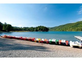 Chalet in Saint-Jean near Lake of Laffrey - Laffrey - 6
