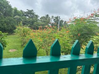 Miss Miriam BeachFront Cabins - Tortuguero - 9