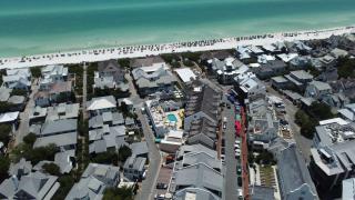 Rosemary Bluegrass - 5