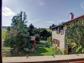Gîte chaleureux avec cheminée, jardin et four à pain, idéal pour des vacances paisibles en nature - FR-1-496-57 - Marlhes - 3