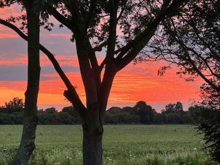 Orchard House - Uk48580 - Rochford - 3