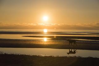 Haus-Nordsee-Whg-18 - 1