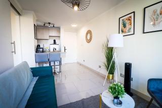 HOM I Amplio Depto 1D1B 3PAX con Terraza en STGO - 1