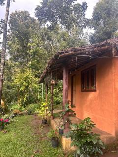 Spies Munnar Camping - Chinnakanal - 9