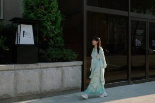 Aank Ryokan Hotel Songtan - - 0