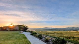 Lone Point Cellars - Brewster - 1