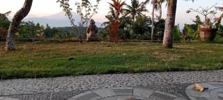 mount sea view cottage - 5