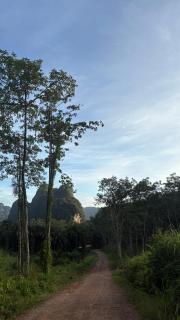 Khao Sok Hill Top Resort - Khao Sok National Park - 8