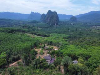 Khao Sok Hill Top Resort - Khao Sok National Park - 9