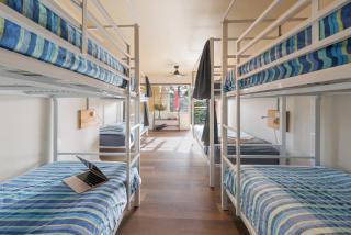 Mad Monkey Hostel Coogee Beach - 1