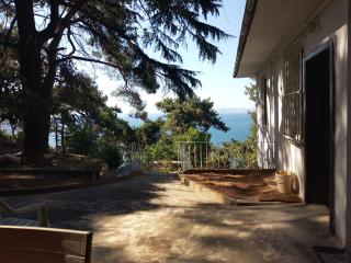 west suit - Adalar - 1